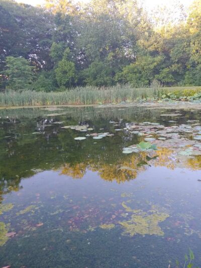 Friends Community Park - Forest Hill, MD