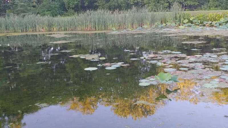 Friends Community Park - Forest Hill, MD