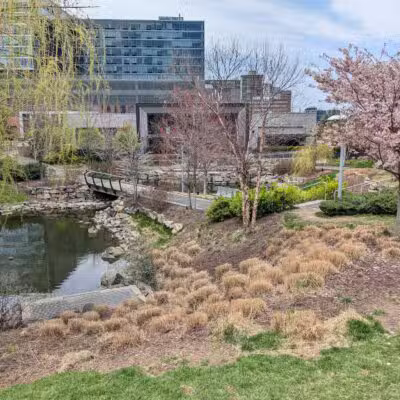Central Green - Fort Lee, NJ