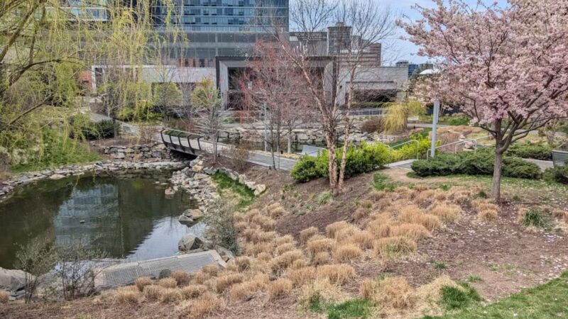 Central Green - Fort Lee, NJ