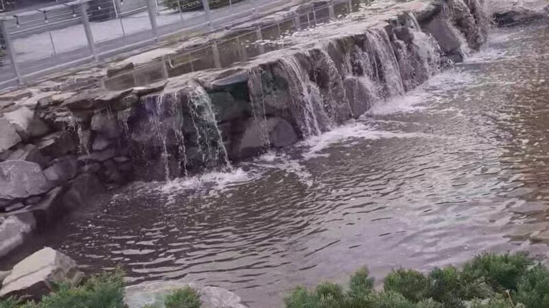 Central Green - Fort Lee, NJ