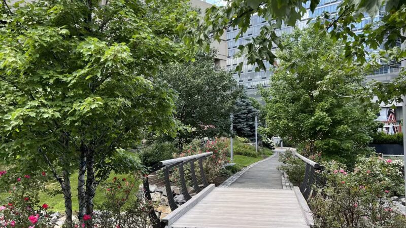 Central Green - Fort Lee, NJ