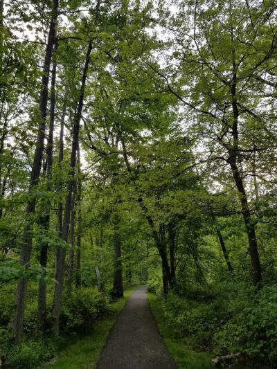 Coytesville Park - Fort Lee, NJ