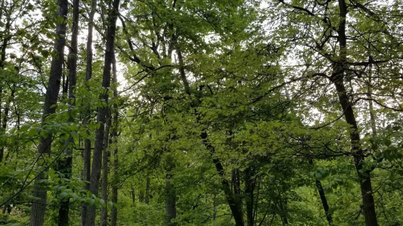 Coytesville Park - Fort Lee, NJ