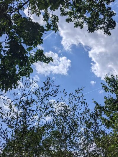 Firemen's Park - Fort Lee, NJ