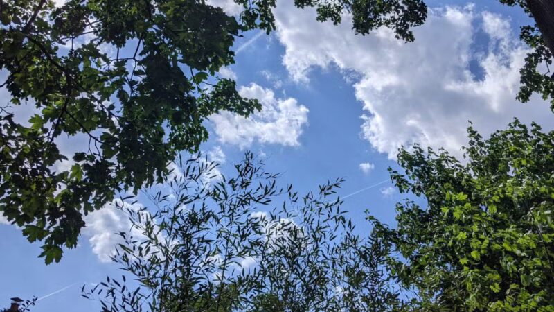 Firemen's Park - Fort Lee, NJ