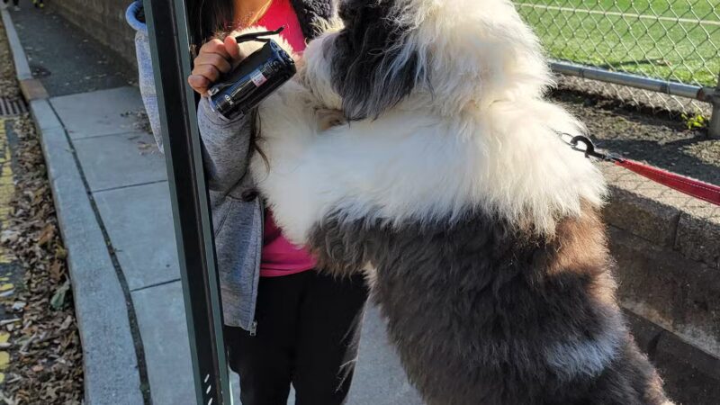 General Van Fleet Park - Fort Lee, NJ