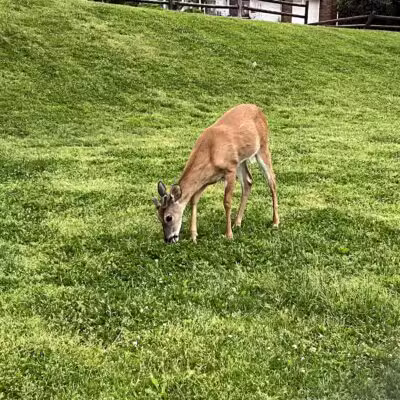 Inwood Terrace Park - Fort Lee, NJ