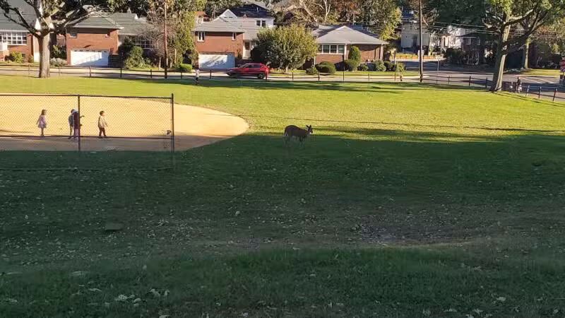 Inwood Terrace Park - Fort Lee, NJ