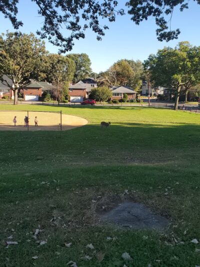 Inwood Terrace Park - Fort Lee, NJ