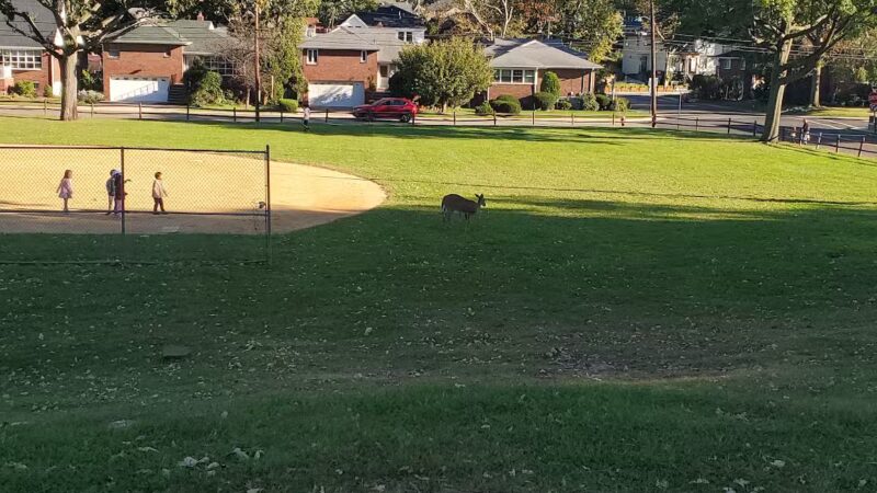 Inwood Terrace Park - Fort Lee, NJ