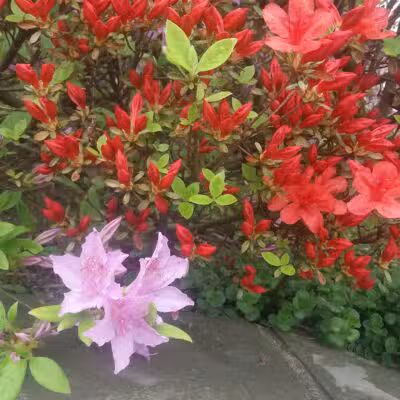 Inwood Terrace Park - Fort Lee, NJ