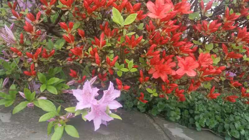 Inwood Terrace Park - Fort Lee, NJ