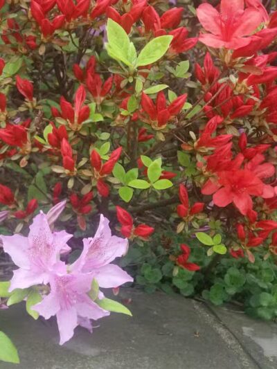 Inwood Terrace Park - Fort Lee, NJ