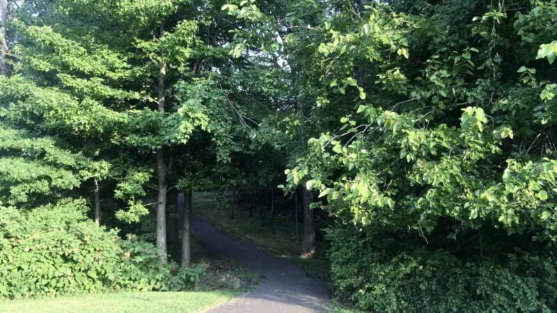 Linwood Park, Palisades Interstate Park - Fort Lee, NJ