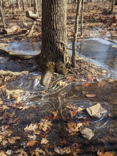 Palisades Interstate Park Commission: Ross Dock Picnic Area - Fort Lee, NJ