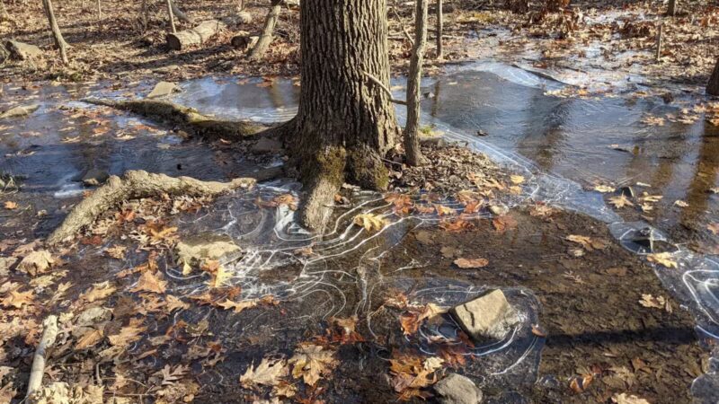 Palisades Interstate Park Commission: Ross Dock Picnic Area - Fort Lee, NJ