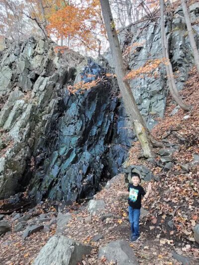 Palisades Interstate Park Commission: Ross Dock Picnic Area - Fort Lee, NJ