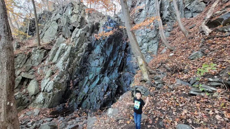 Palisades Interstate Park Commission: Ross Dock Picnic Area - Fort Lee, NJ
