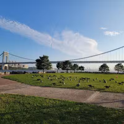 Ross Dock Picnic Area - Fort Lee, NJ