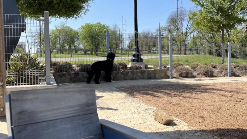 Calhound Dog Park - Fort Worth, TX