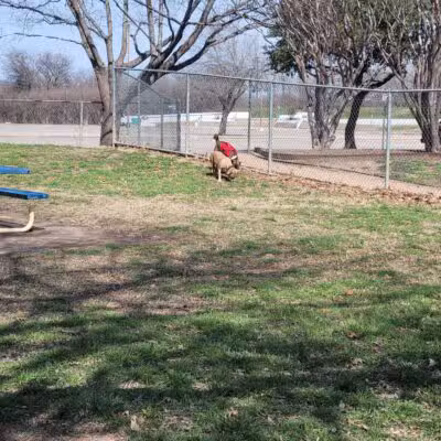 Ft. Woof Dog Park - Fort Worth, TX