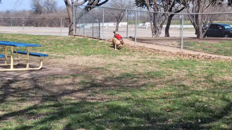 Ft. Woof Dog Park - Fort Worth, TX