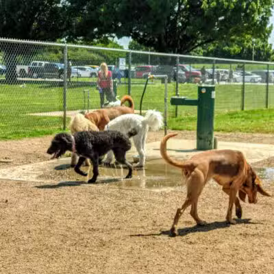 Ft. Woof Dog Park - Fort Worth, TX