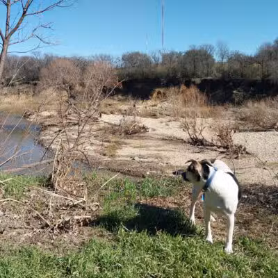 Ft. Woof Dog Park - Fort Worth, TX