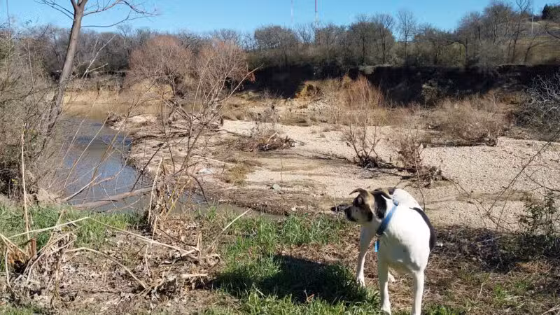 Ft. Woof Dog Park - Fort Worth, TX