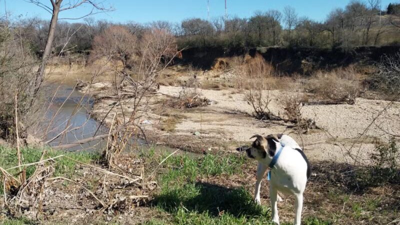 Ft. Woof Dog Park - Fort Worth, TX