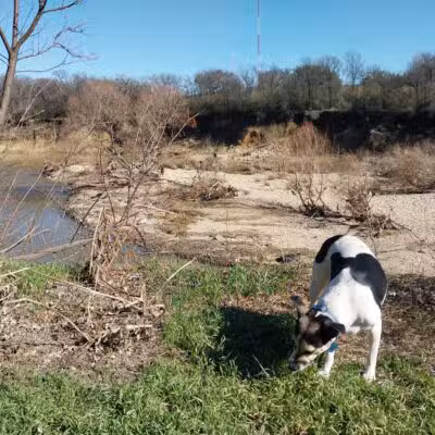Ft. Woof Dog Park - Fort Worth, TX