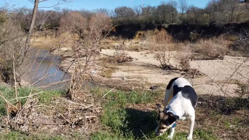 Ft. Woof Dog Park - Fort Worth, TX