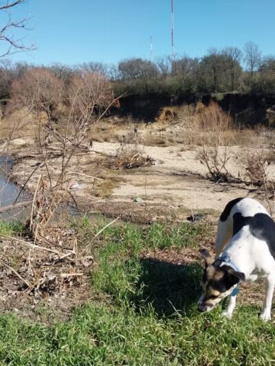 Ft. Woof Dog Park - Fort Worth, TX