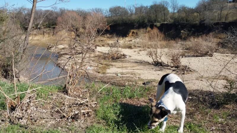 Ft. Woof Dog Park - Fort Worth, TX