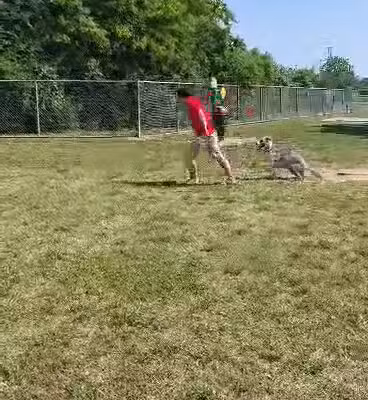 Ft. Woof Dog Park - Fort Worth, TX