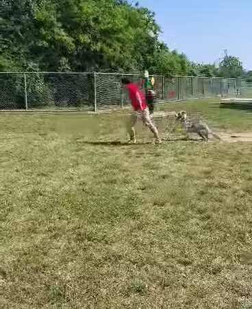 Ft. Woof Dog Park - Fort Worth, TX