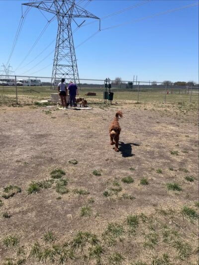 Golden Triangle Dog Park - Fort Worth, TX