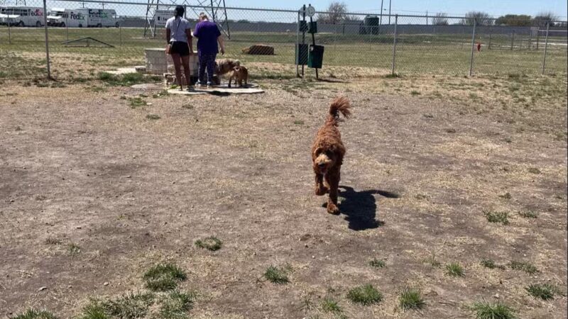 Golden Triangle Dog Park - Fort Worth, TX