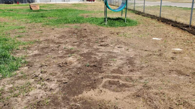 Golden Triangle Dog Park - Fort Worth, TX