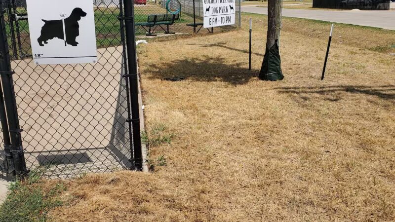 Golden Triangle Dog Park - Fort Worth, TX