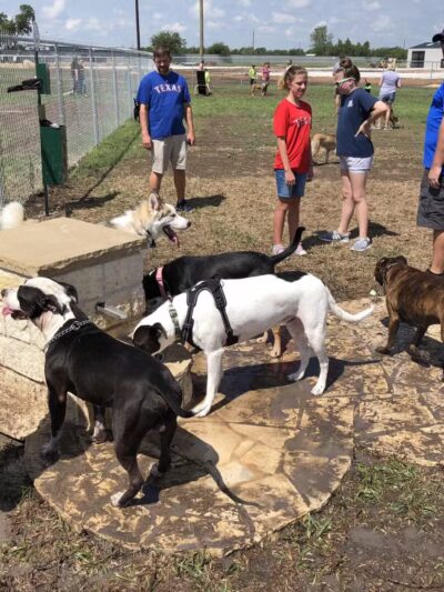Golden Triangle Dog Park - Fort Worth, TX