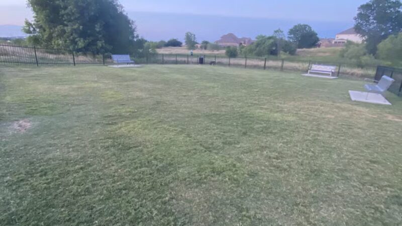 Llano Springs Dog Park - Fort Worth, TX