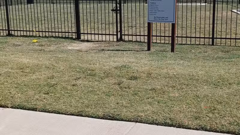 Llano Springs Dog Park - Fort Worth, TX