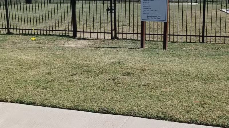 Llano Springs Dog Park - Fort Worth, TX