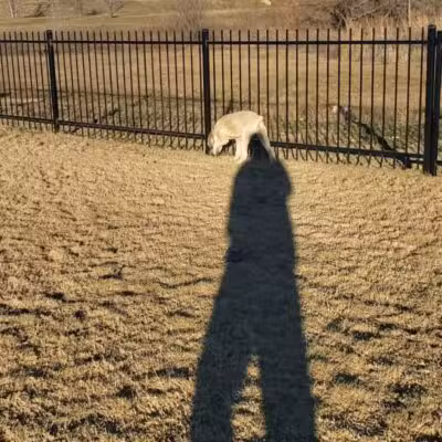 Llano Springs Dog Park - Fort Worth, TX