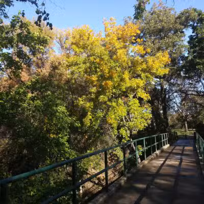 Pecan Valley Park - Fort Worth, TX
