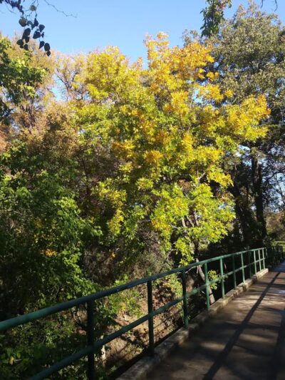 Pecan Valley Park - Fort Worth, TX