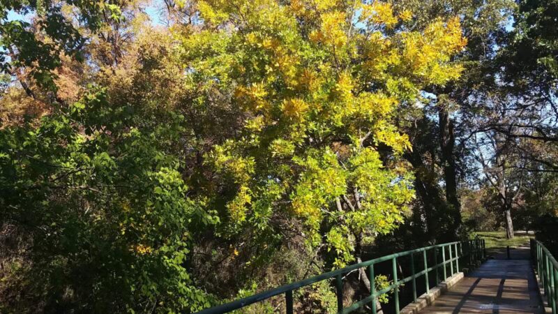 Pecan Valley Park - Fort Worth, TX