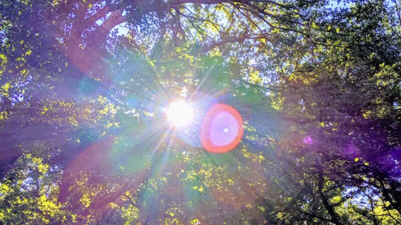 Pecan Valley Park - Fort Worth, TX